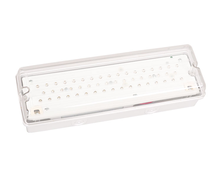LE502L IP65 50LED vízálló vészhelyzeti fény